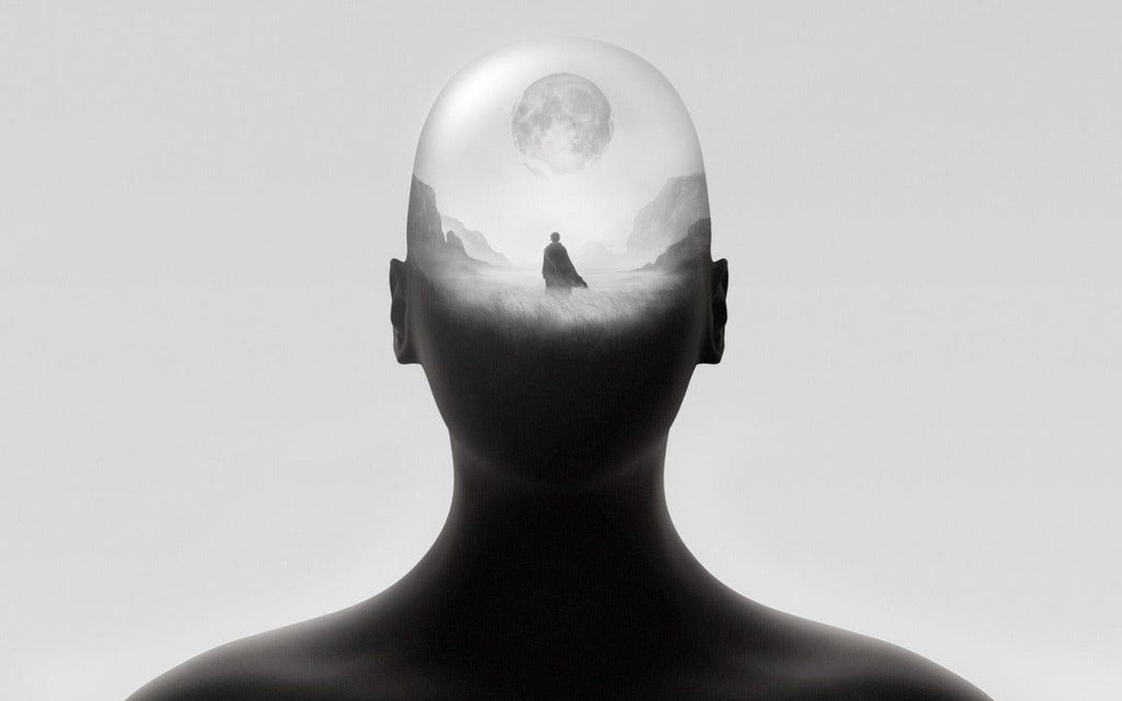 Mind Palace